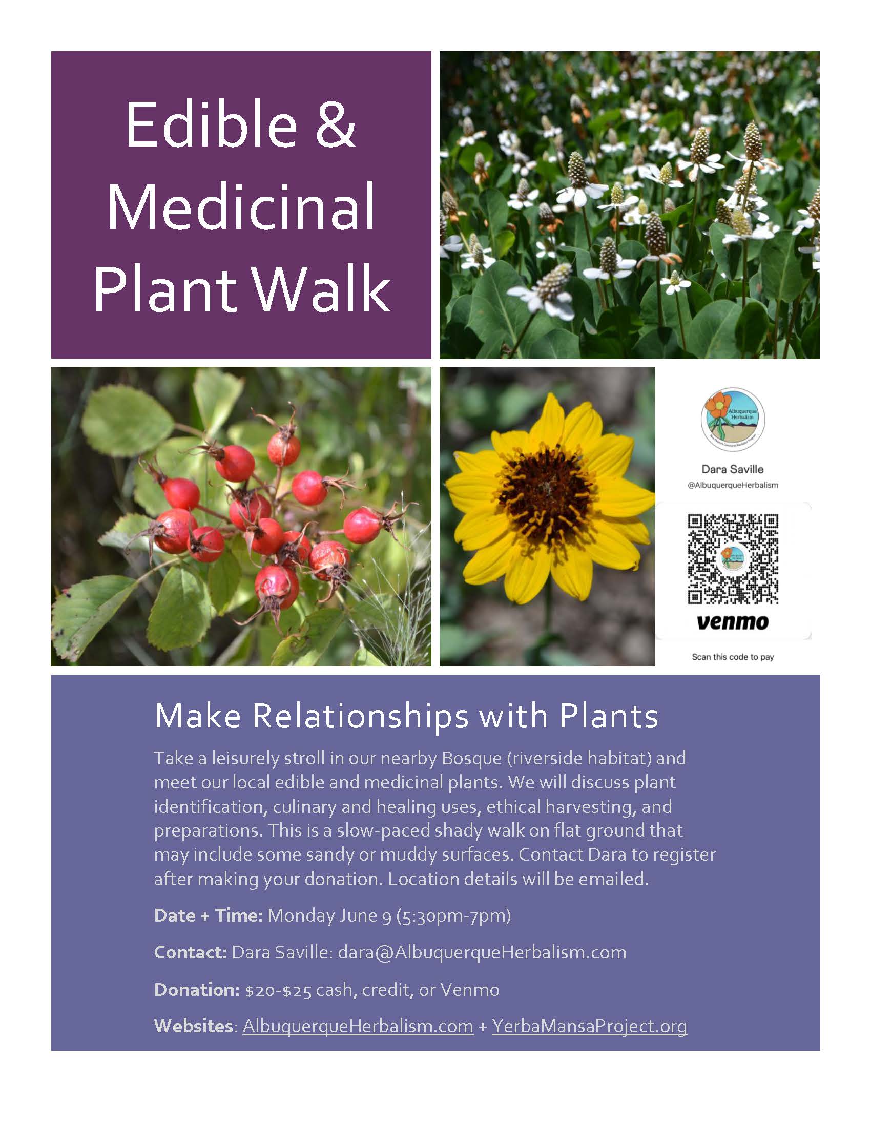 plant-walk-flyer_unm-curanderismo_d-saville.jpg